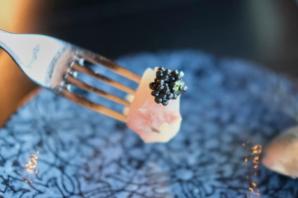 Carnet de voyage en Aquitaine : à la découverte des secrets de production du caviar français